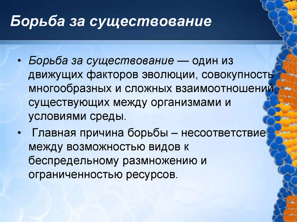 Борьба за существование