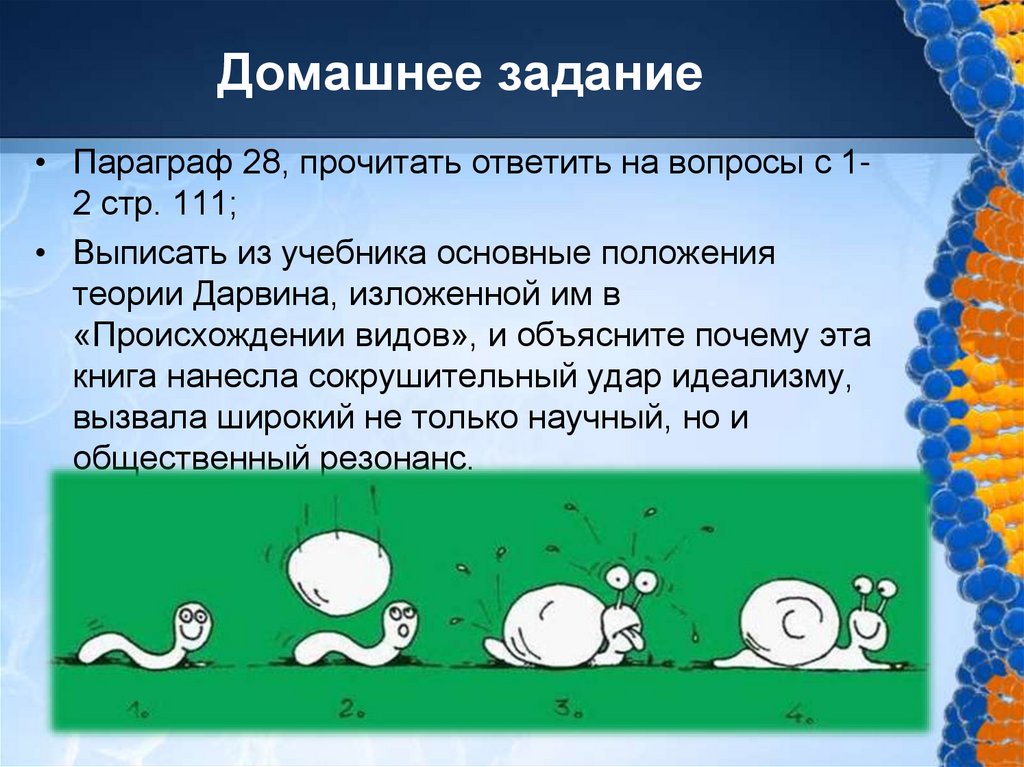 Домашнее задание