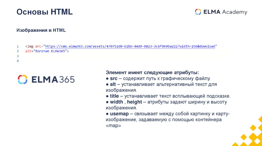 Основы HTML