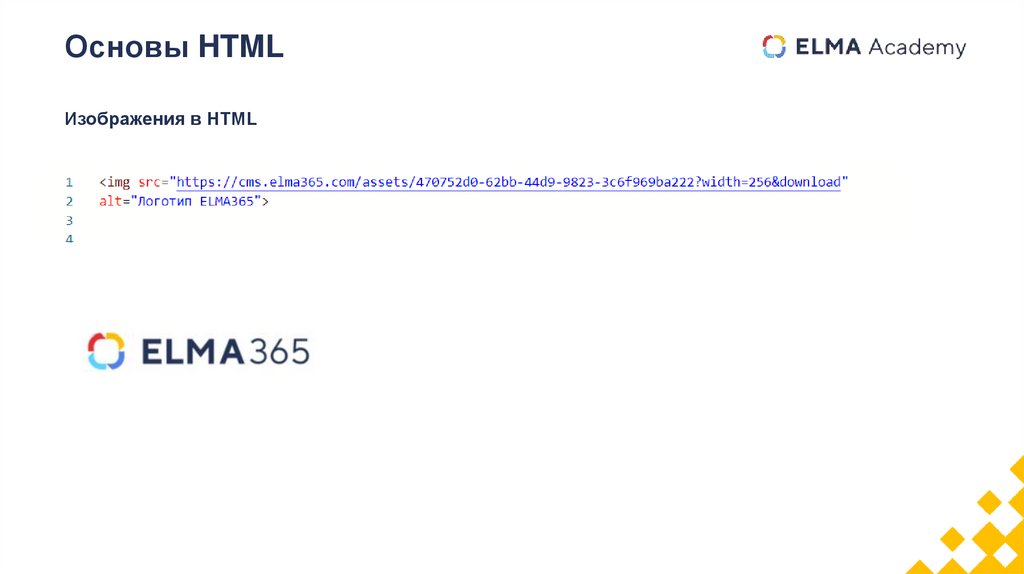 Основы HTML