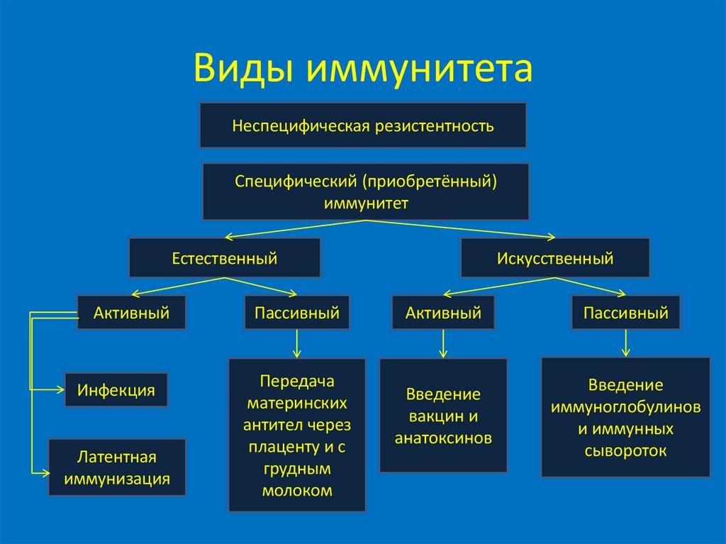 Виды иммунитета
