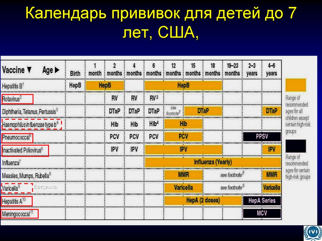 Календарь прививок для детей до 7 лет, США,