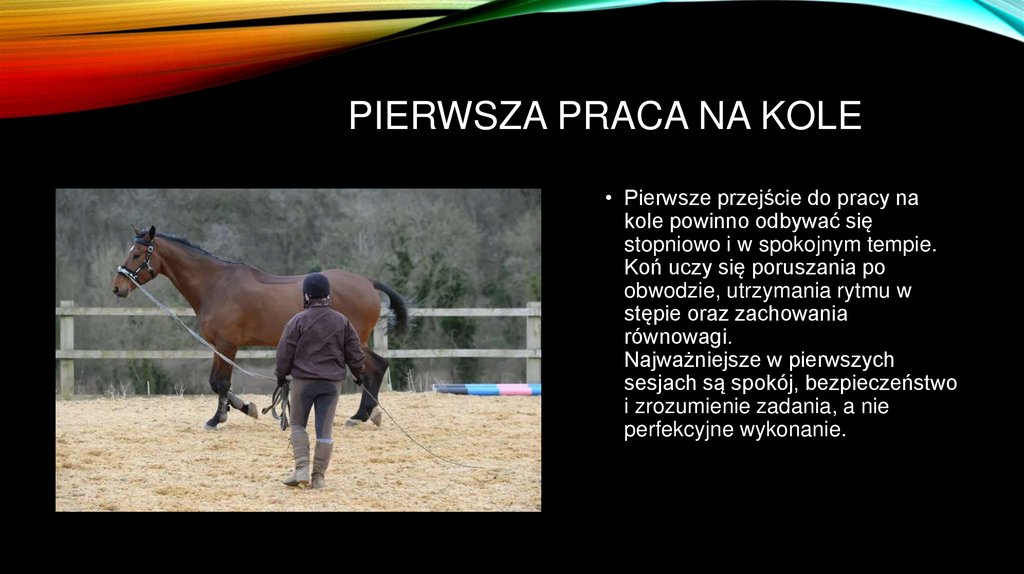 Pierwsza praca na kole