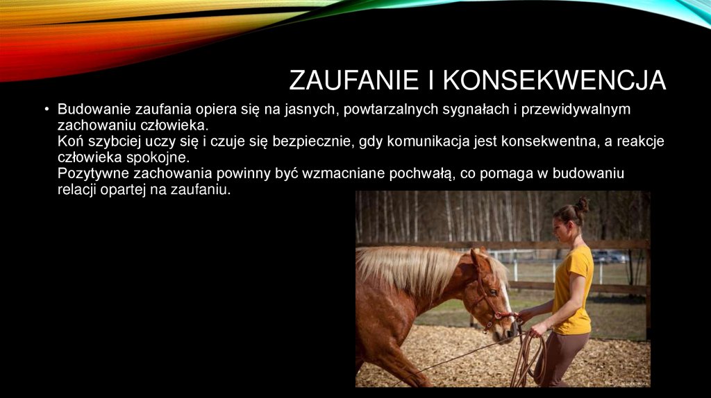 Zaufanie i konsekwencja
