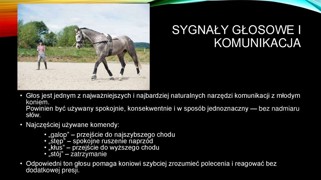 Sygnały głosowe i komunikacja