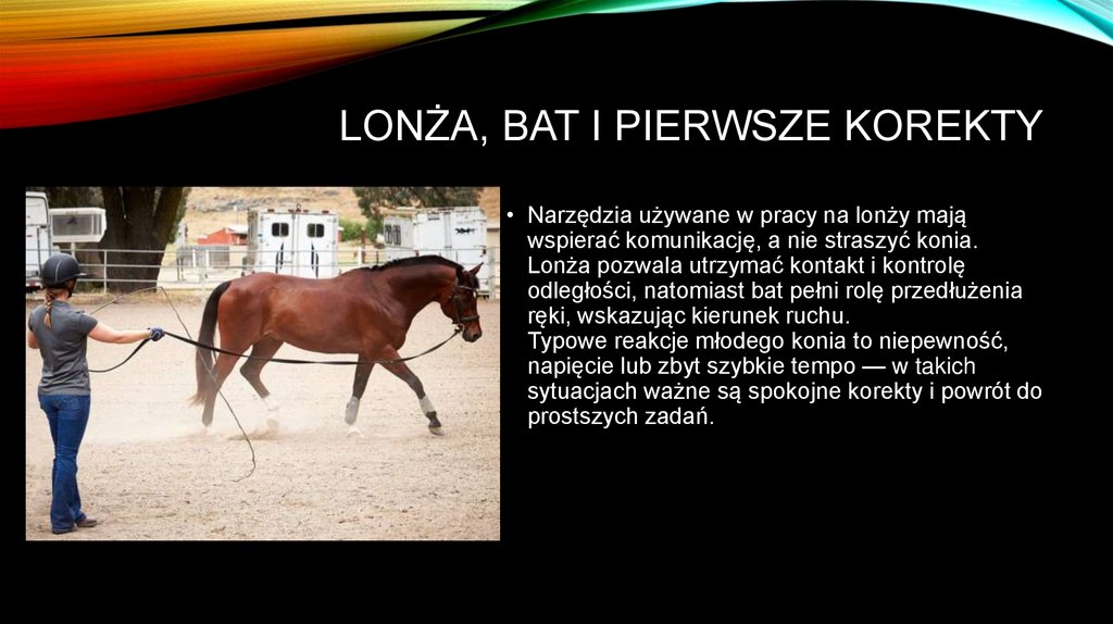 Lonża, bat i pierwsze korekty
