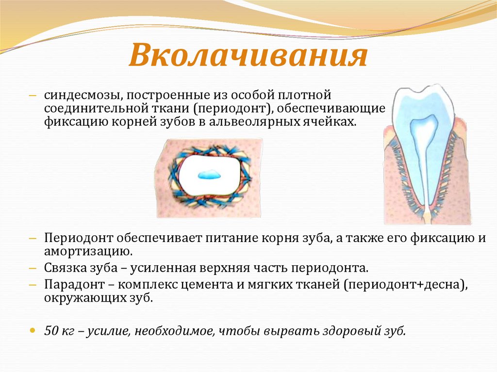 Вколачивания