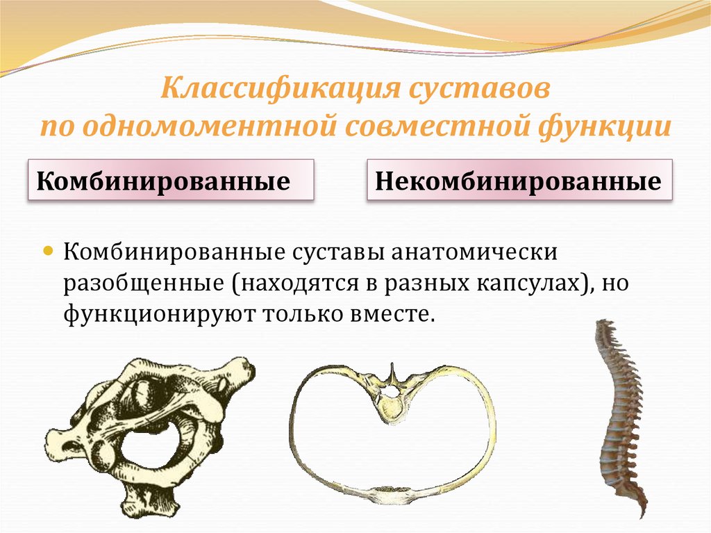 Классификация суставов по одномоментной совместной функции