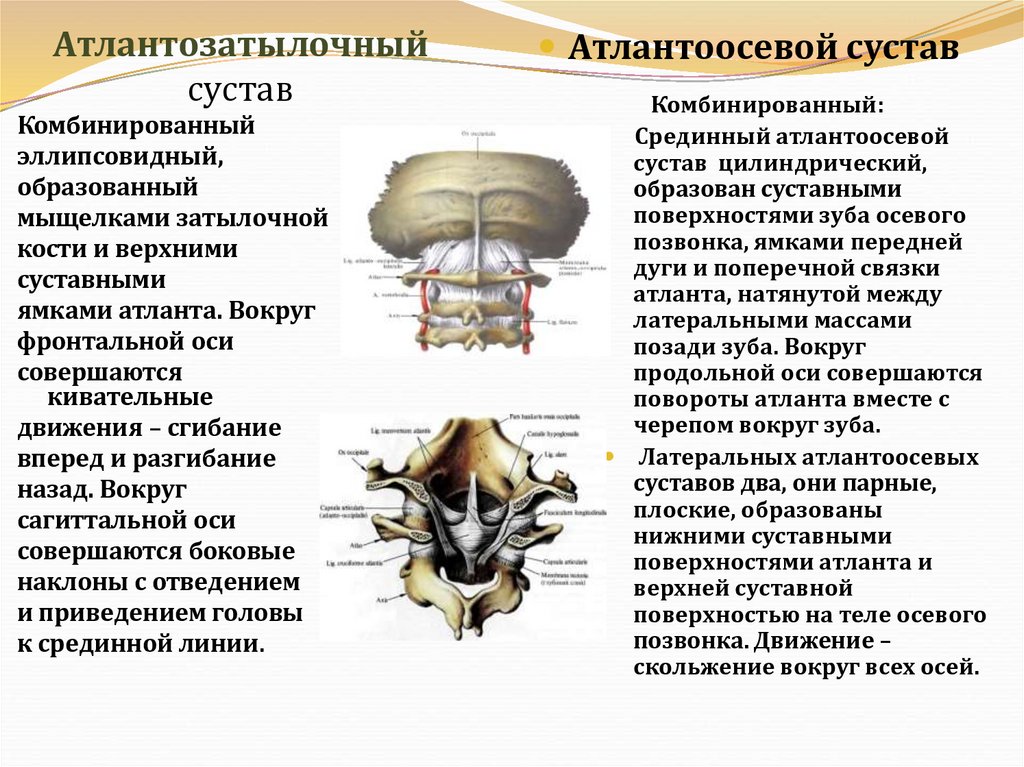 Атлантозатылочный сустав