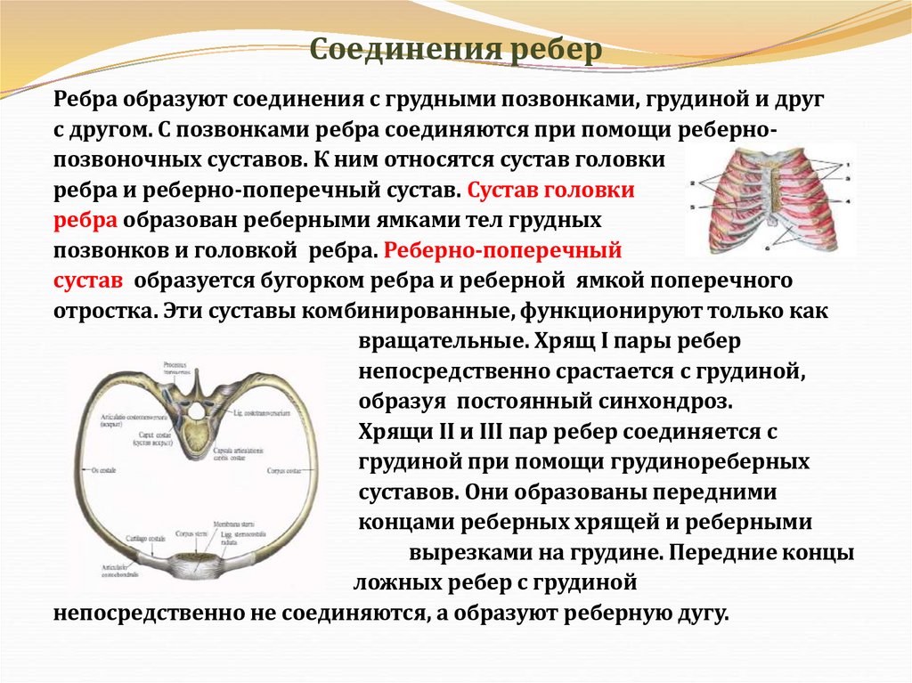 Соединения ребер