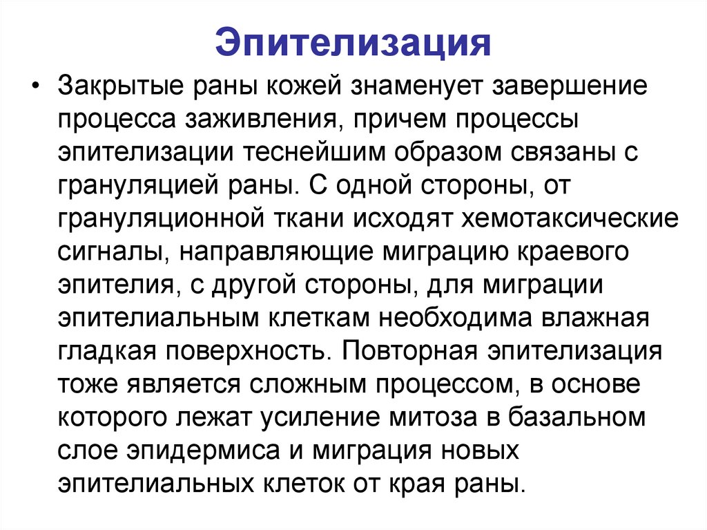 Эпителизация