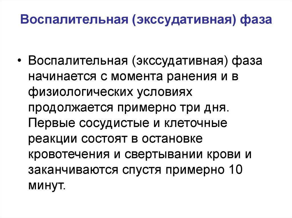 Воспалительная (экссудативная) фаза
