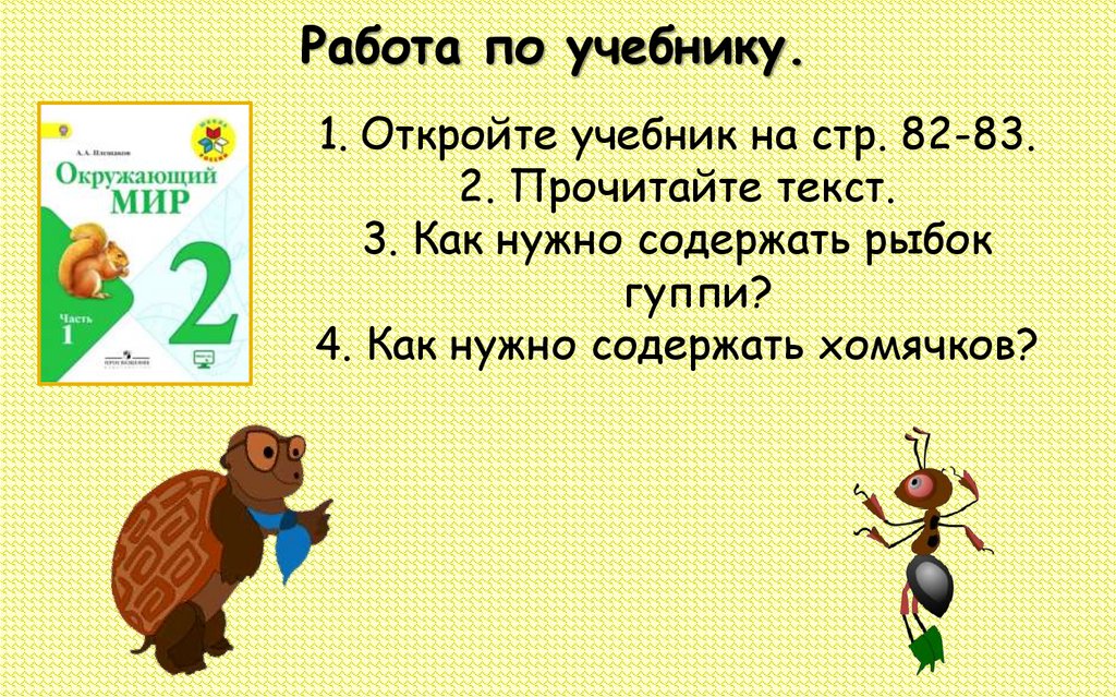 Работа по учебнику.