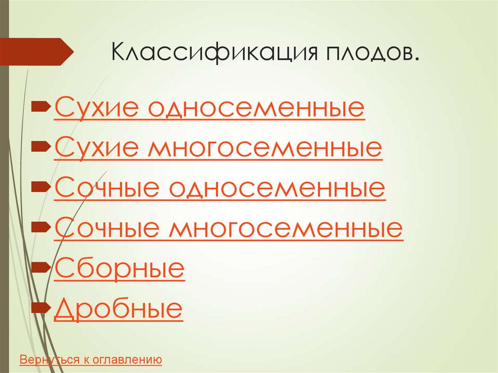 Классификация плодов.