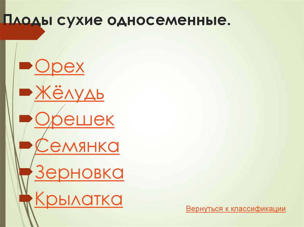 Плоды сухие односеменные.