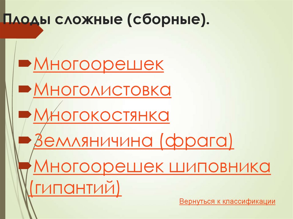 Плоды сочные многосеменные.