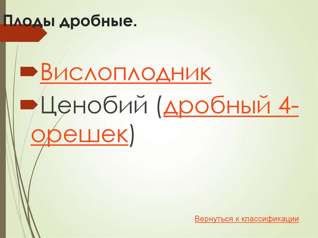 Плоды сложные (сборные).