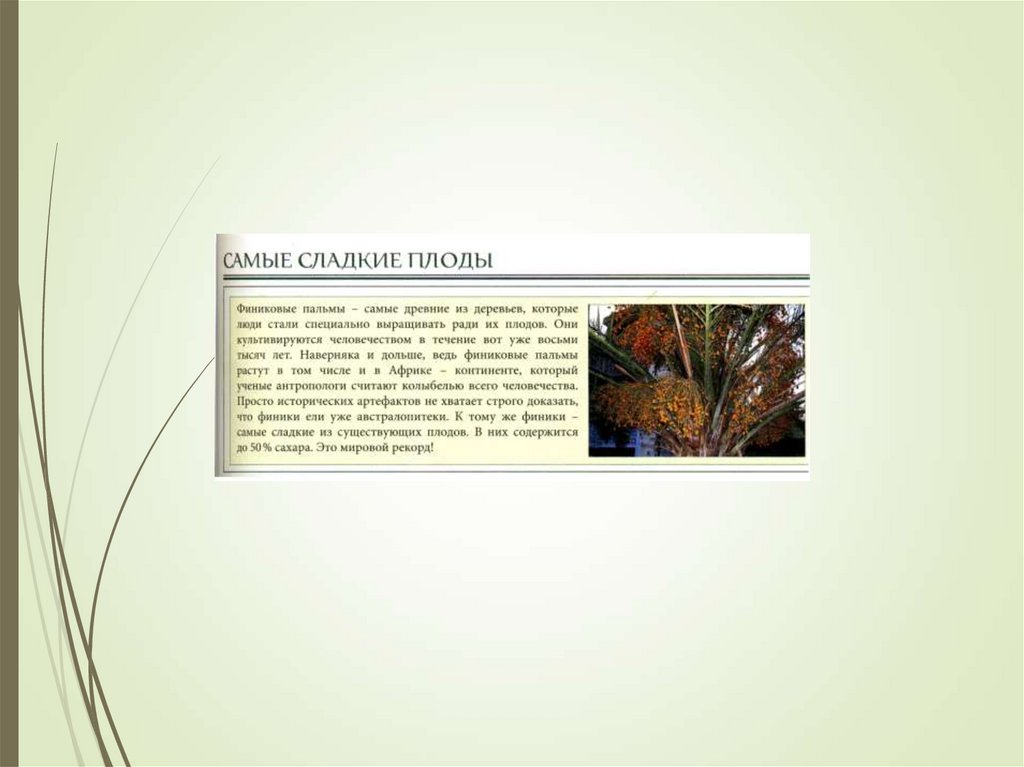 Плоды дробные.