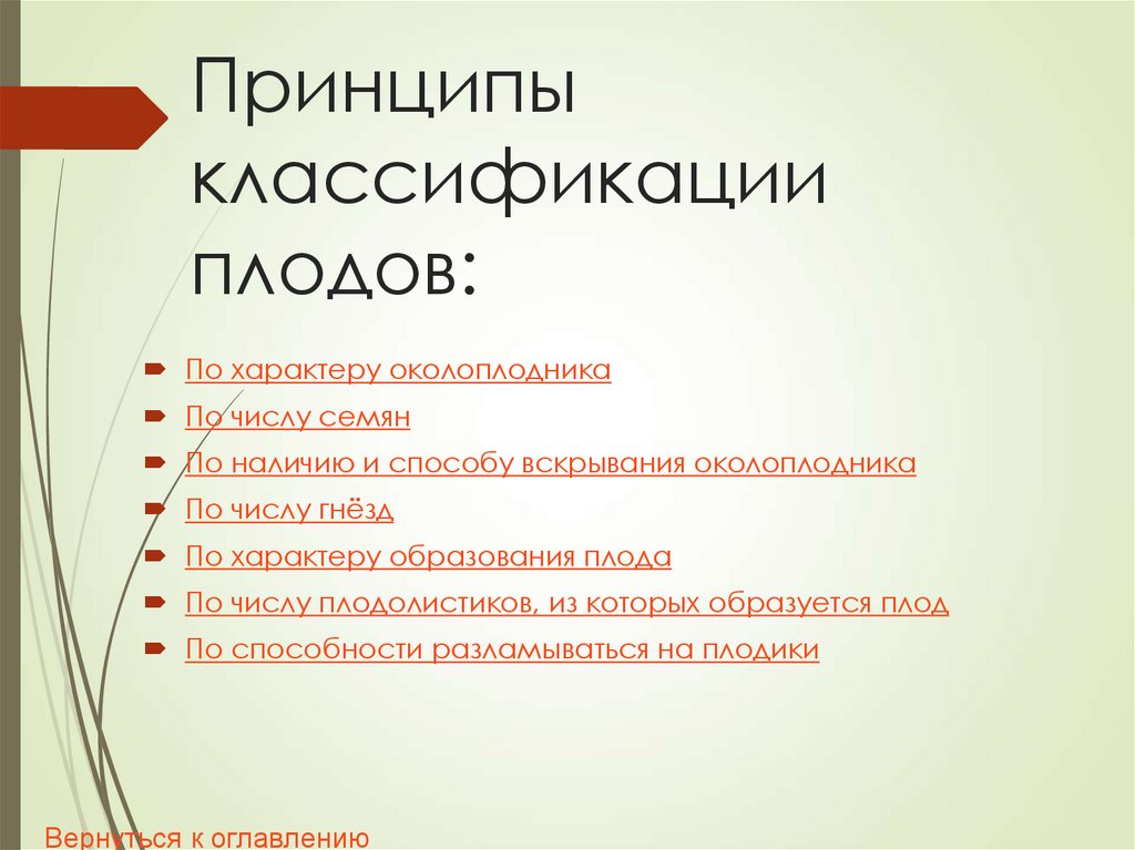 Принципы классификации плодов: