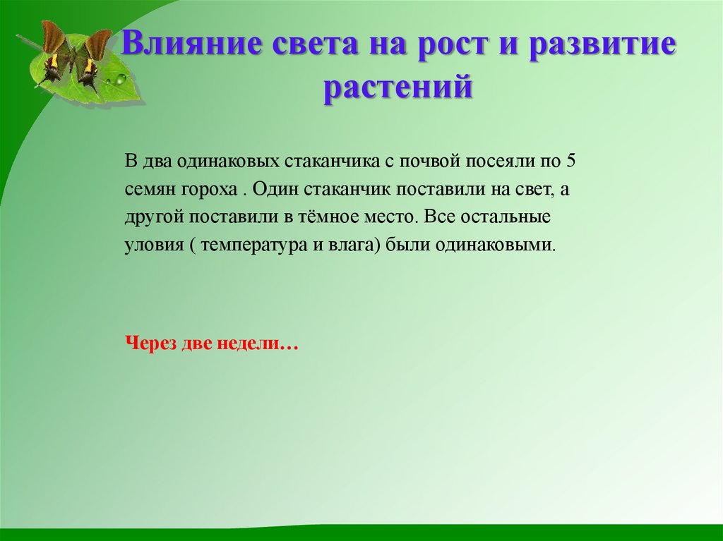Влияние света на рост и развитие растений