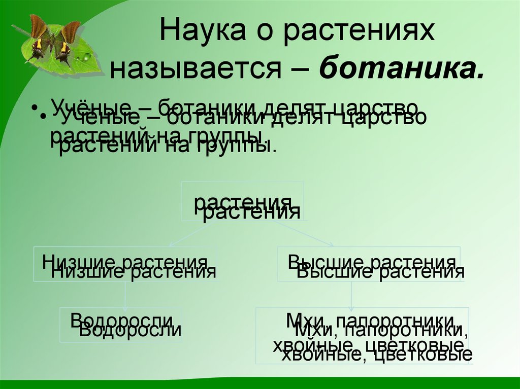 Наука о растениях называется – ботаника.
