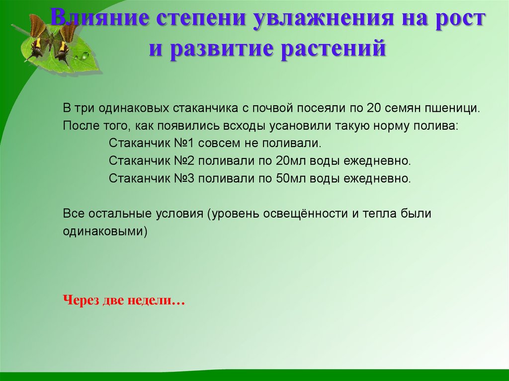 Влияние степени увлажнения на рост и развитие растений