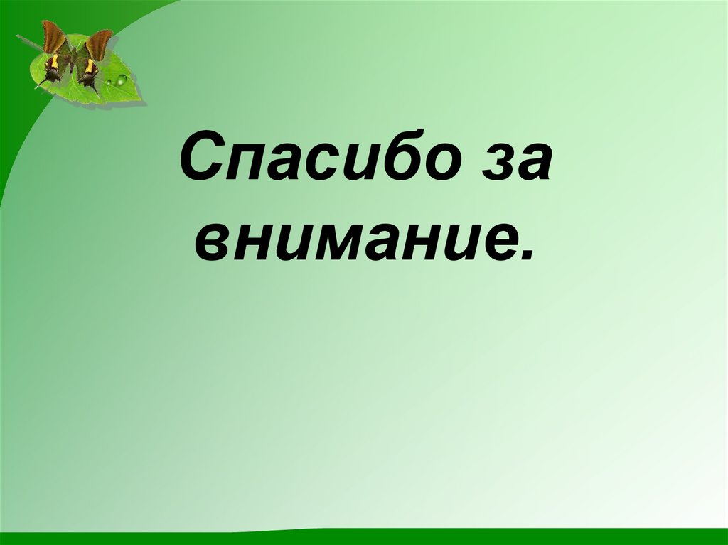 Спасибо за внимание.