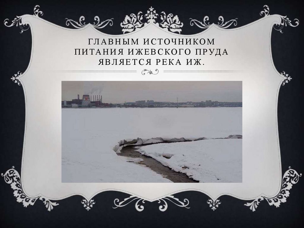 Главным источником питания Ижевского пруда является река Иж.