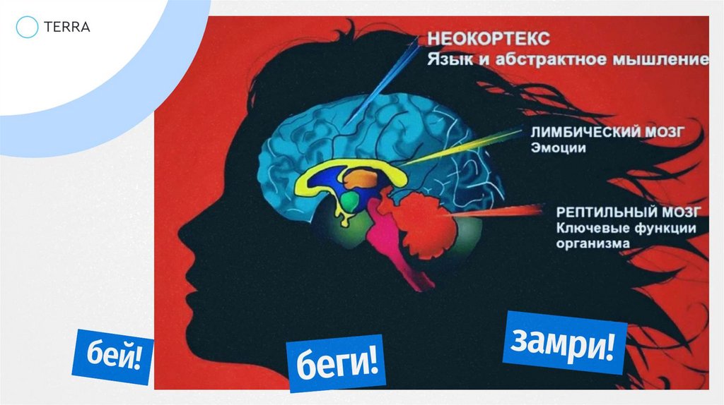 Правила школы