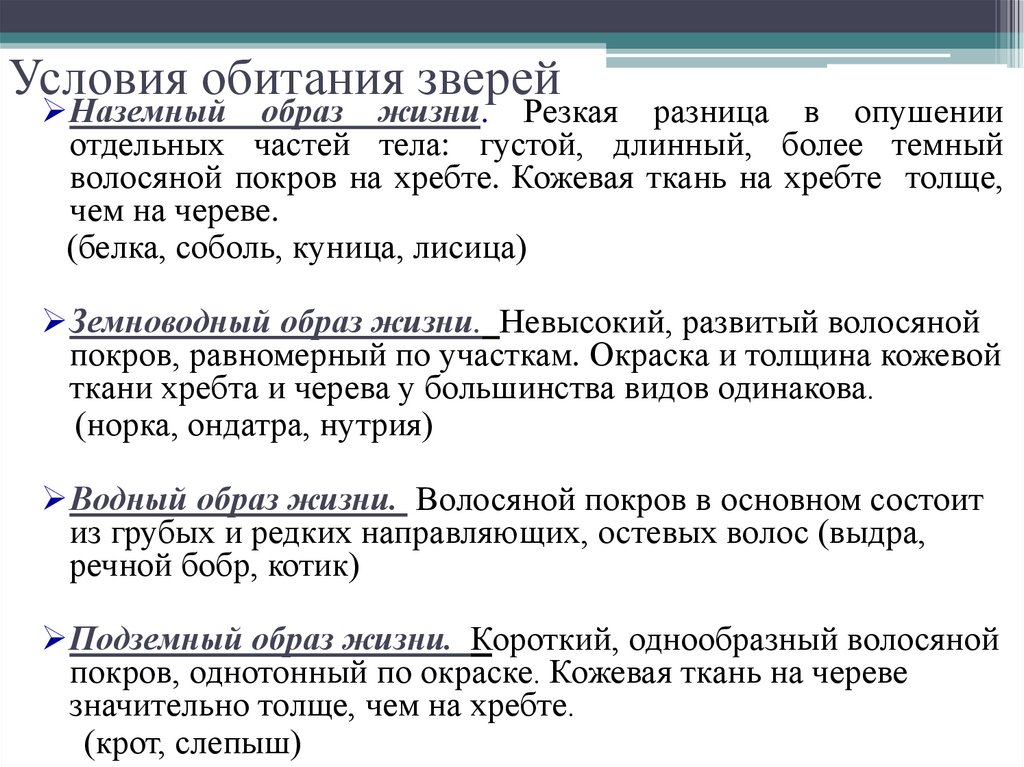 Условия обитания зверей