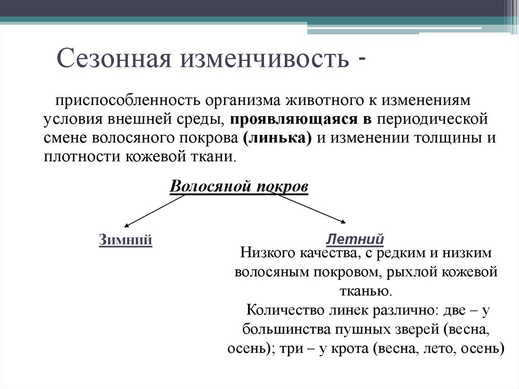 Сезонная изменчивость -