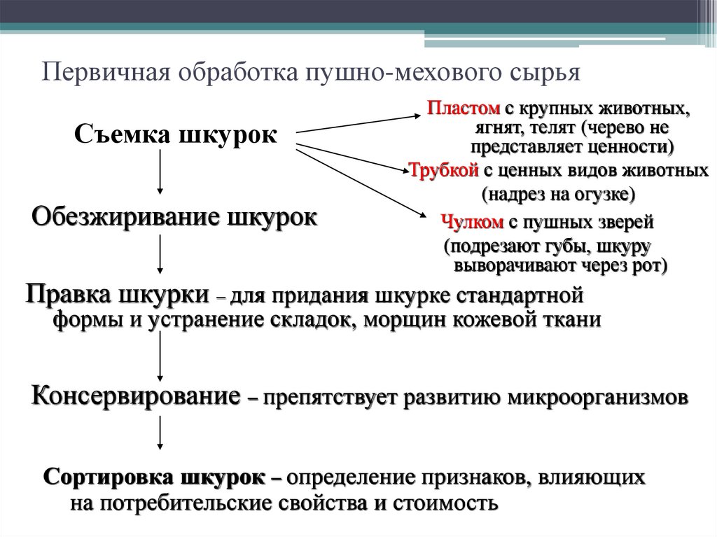 Первичная обработка пушно-мехового сырья