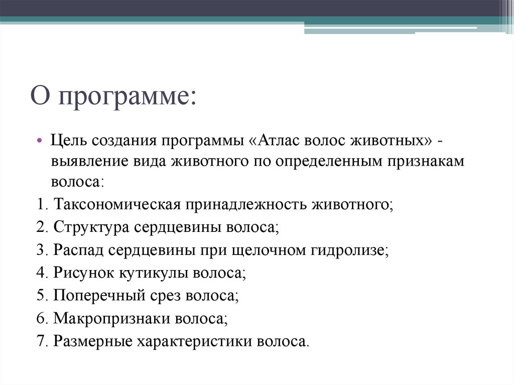 О программе: