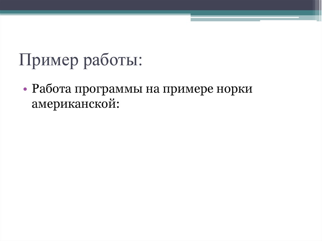 Пример работы: