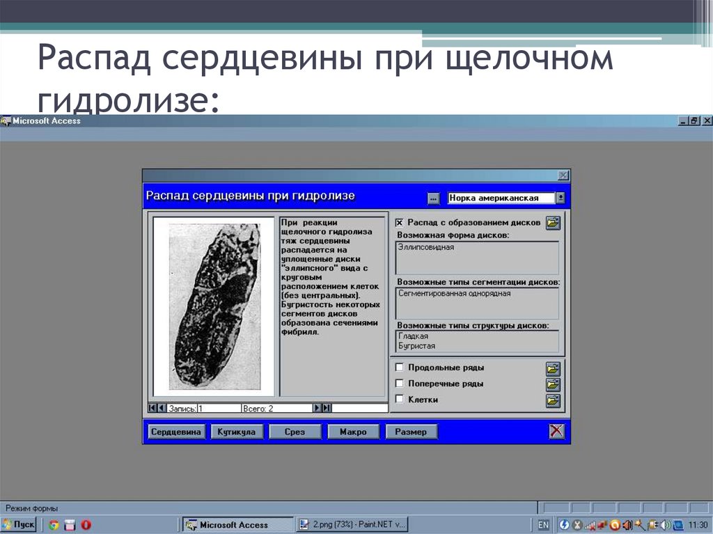 Распад сердцевины при щелочном гидролизе: