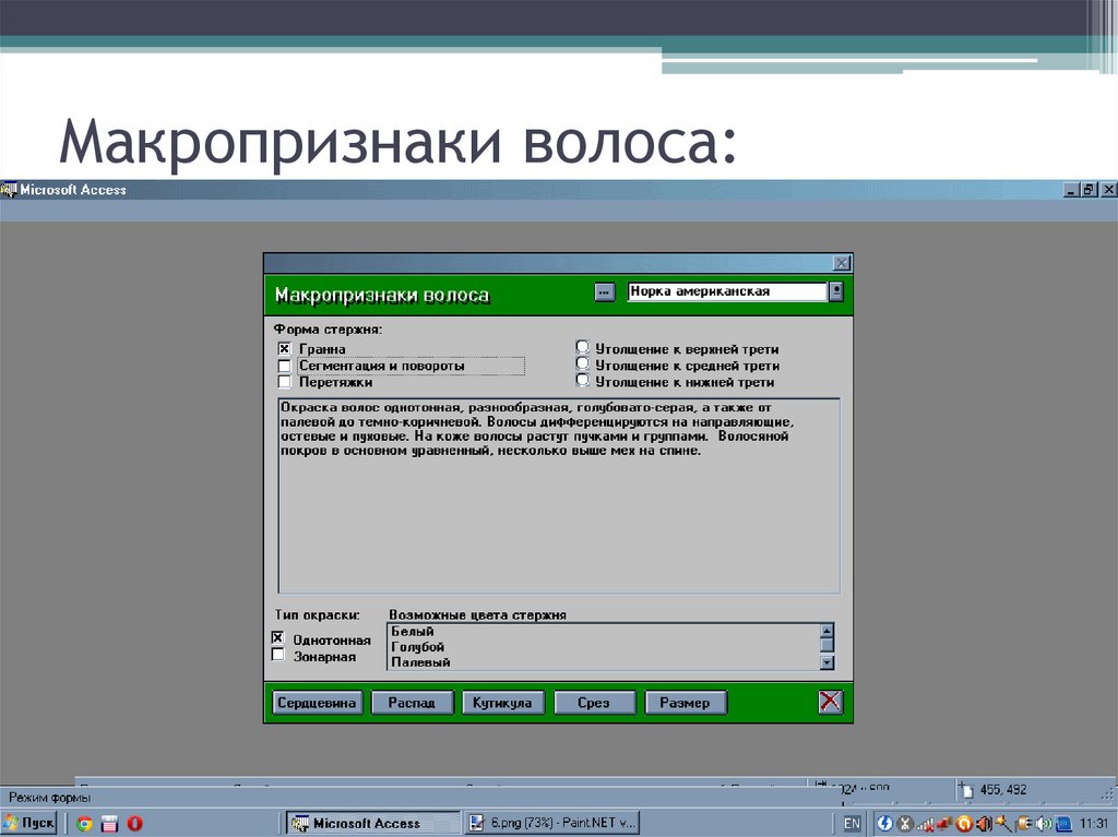 Макропризнаки волоса:
