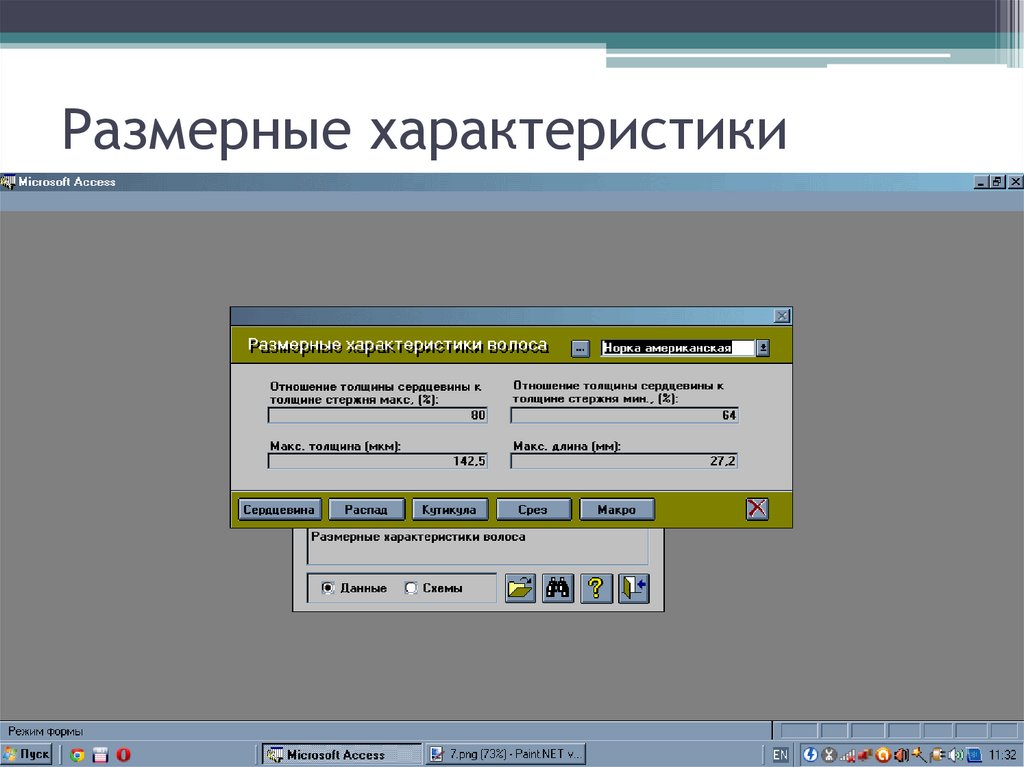 Размерные характеристики