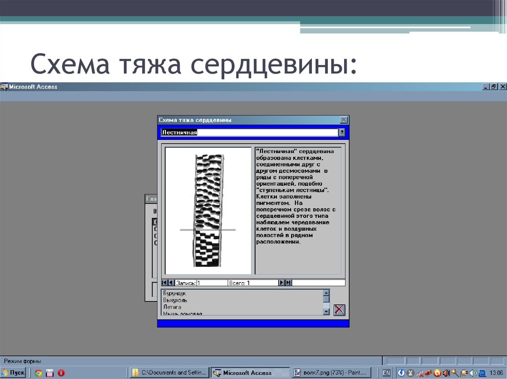 Схема тяжа сердцевины: