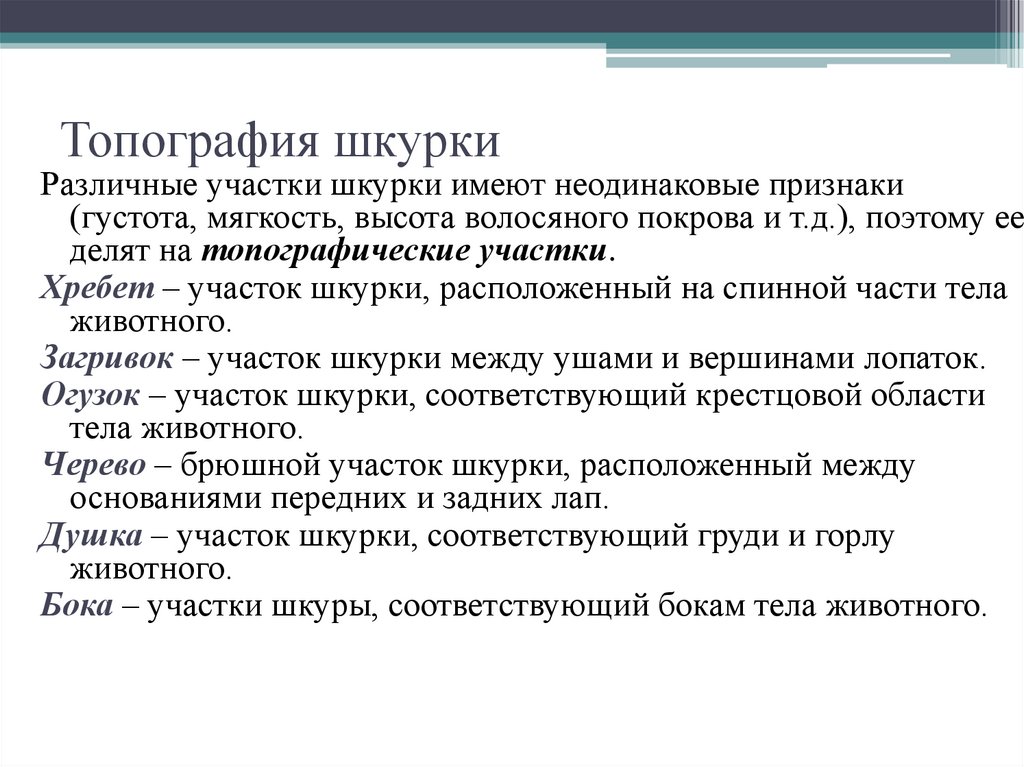 Топография шкурки