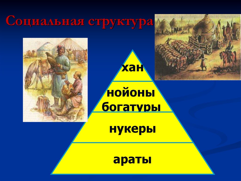 Социальная структура