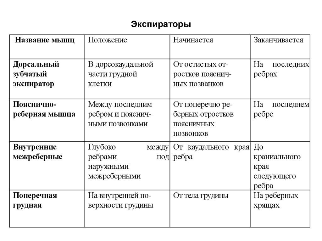 Экспираторы