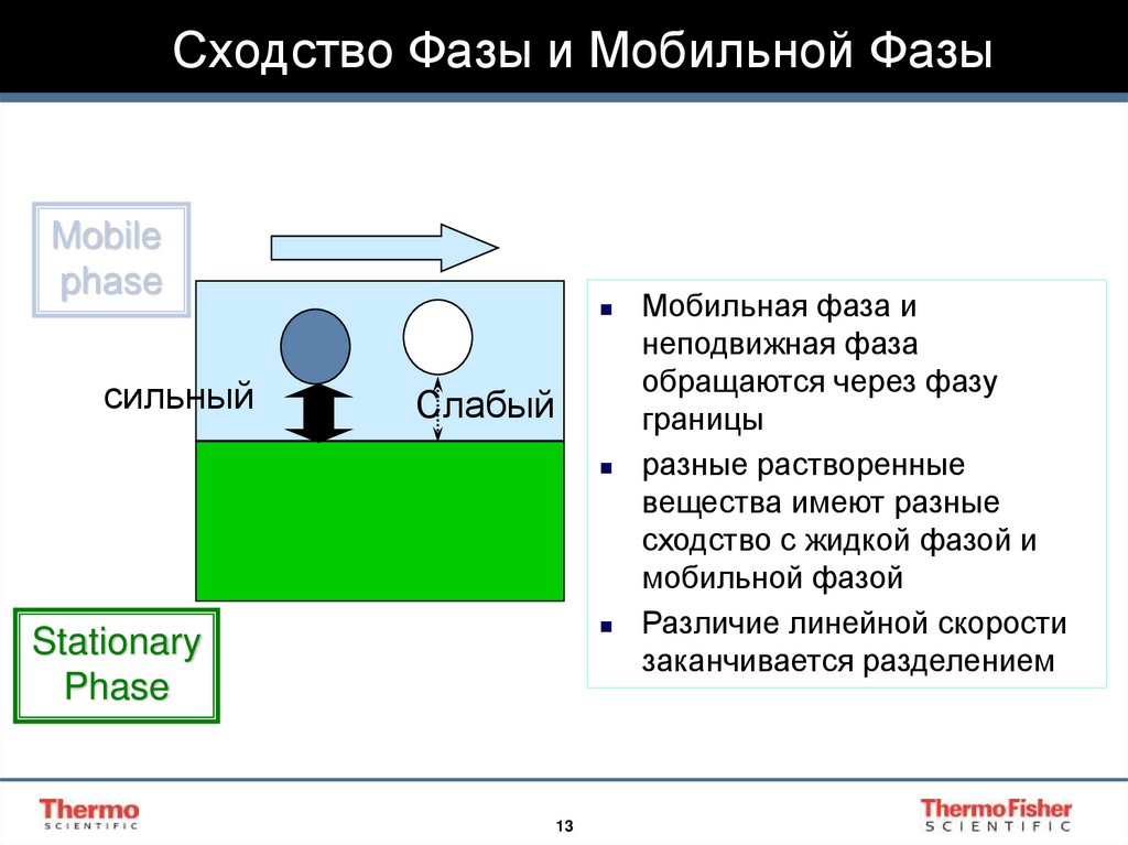 Сходство Фазы и Мобильной Фазы