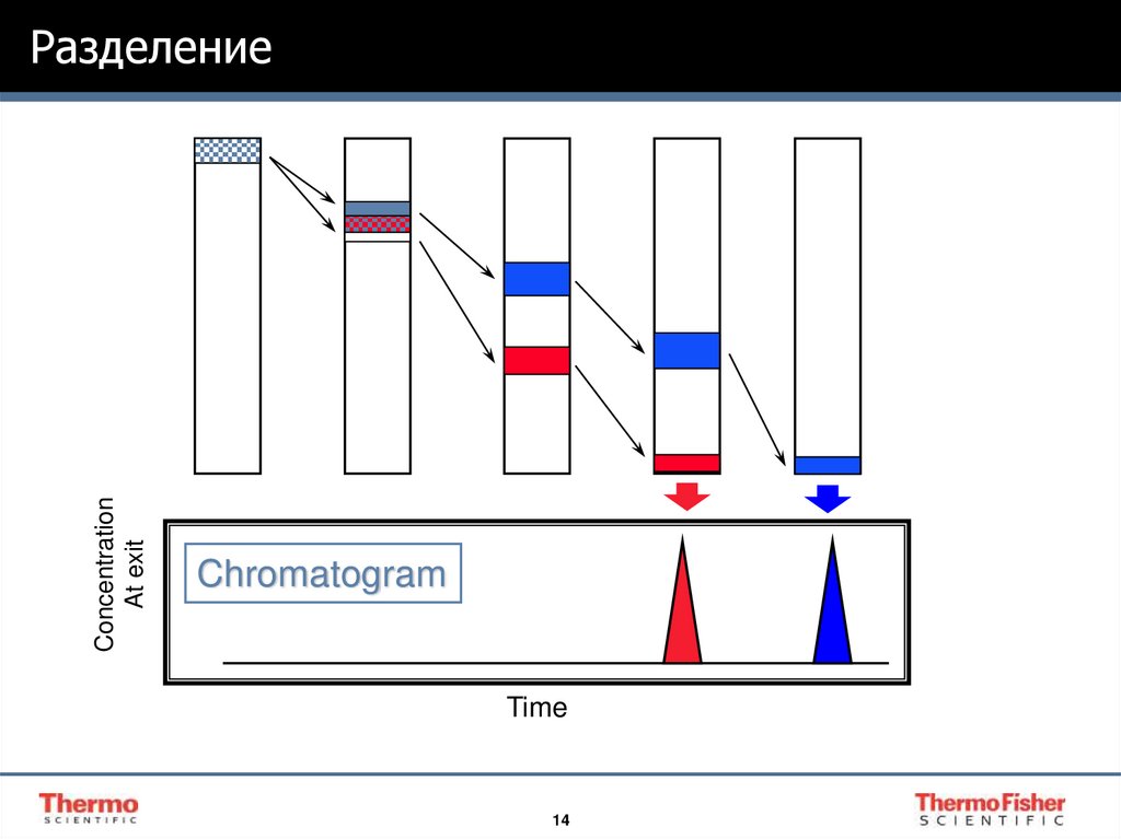 Разделение