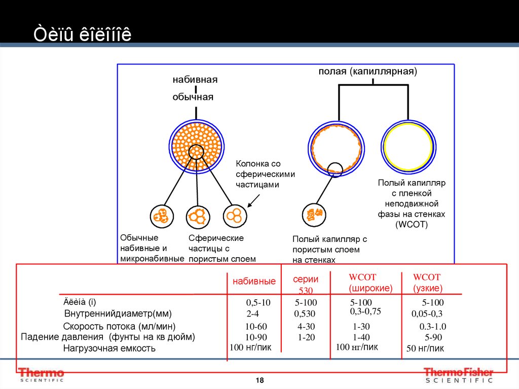 Òèïû êîëîíîê