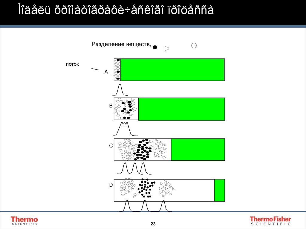 Ìîäåëü õðîìàòîãðàôè÷åñêîãî ïðîöåññà