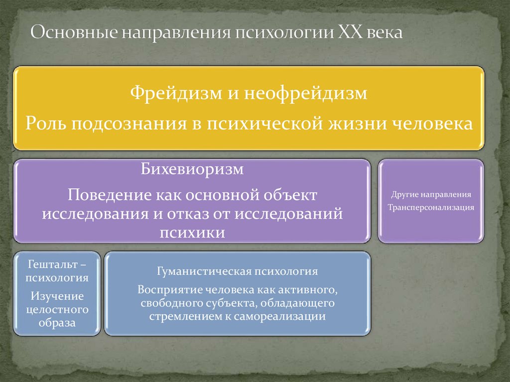 Основные направления психологии ХХ века