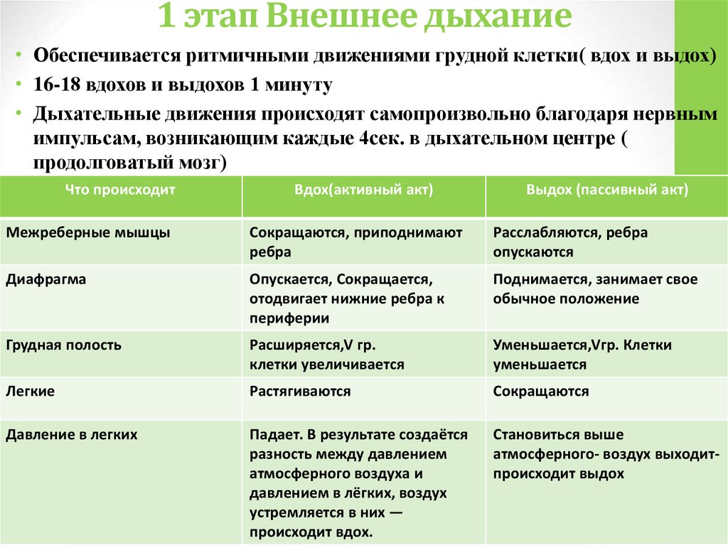 1 этап Внешнее дыхание