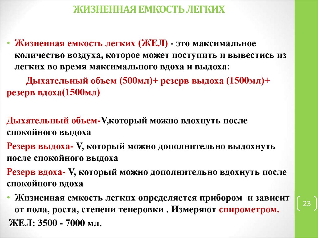 ЖИЗНЕННАЯ ЕМКОСТЬ ЛЕГКИХ