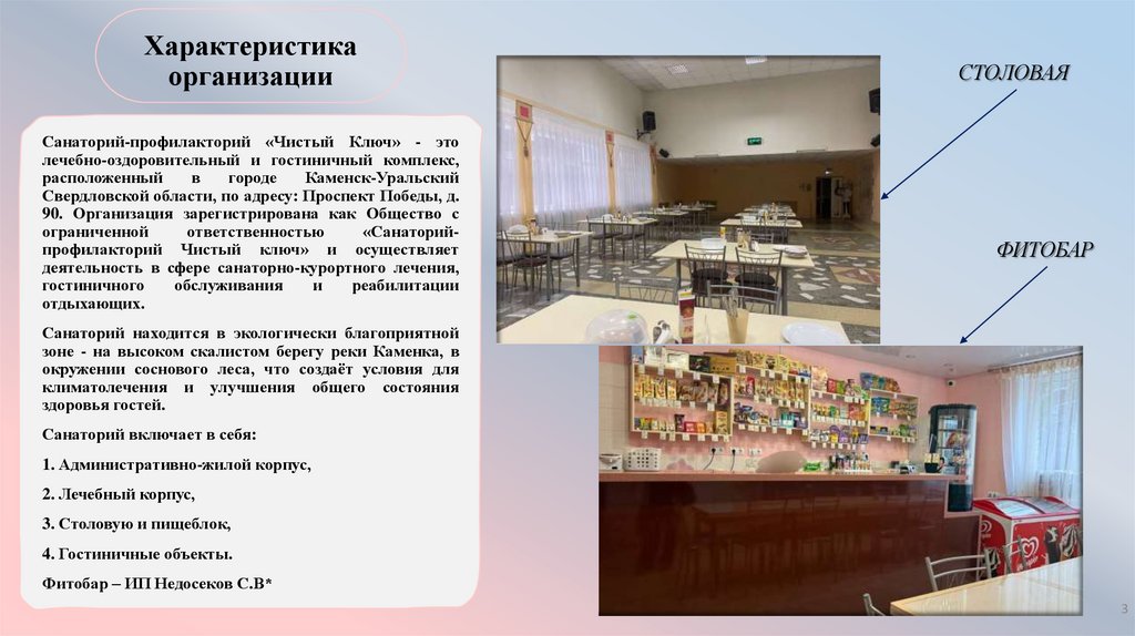 Характеристика организации