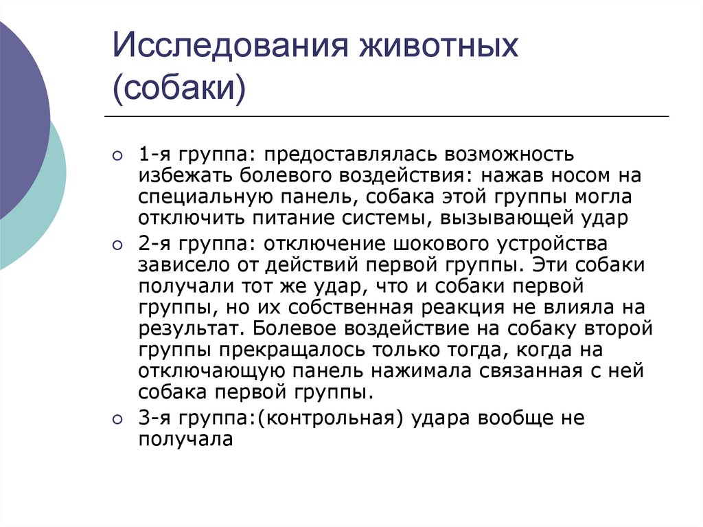 Исследования животных (собаки)